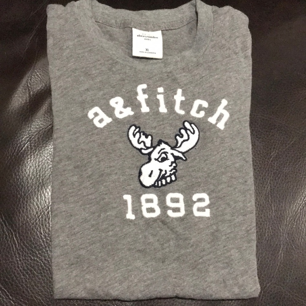 NWOT Abercrombie grey t-shirt great condition